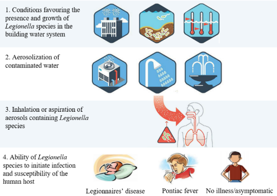 Legionella Control in Building Water Systems: A Vital Guide for Building Managers & Operators